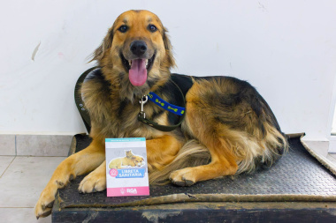 Anuncian una nueva jornada de vacunación antirrábica de mascotas en Río Grande