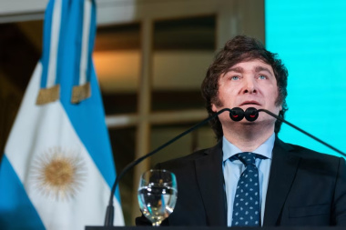 Milei vetó la ley de distribución de Aportes al Tesoro Nacional y devolvió el proyecto al Senado