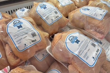 Pollos de ‘RGA Alimentos’ ya están distribuidos en carnicerías y pollerías de toda la provincia