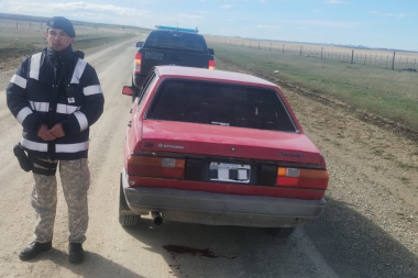 Tres hombres detenidos por cazar un guanaco y transportarlo en el baúl de su auto