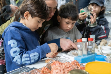 Más de 1.500 personas participaron en la 'Semana Fueguina de la Ciencia y la Tecnología'