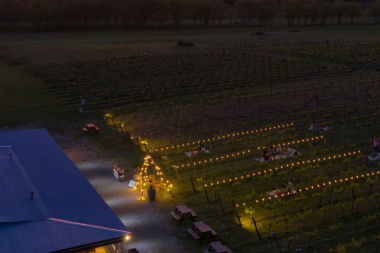 Se viene el vino más austral del mundo: inversores argentinos lanzan una bodega en Ushuaia