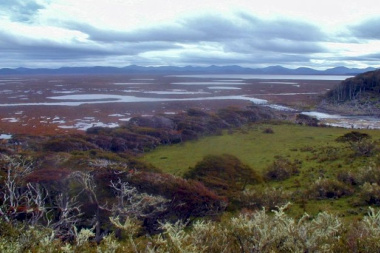 Argentina y Chile avanzan en un trabajo conjunto para la conservación de turberas patagónicas