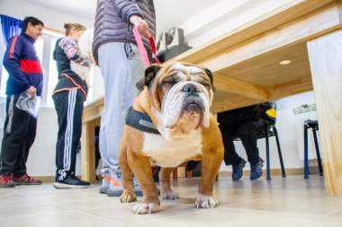En Río Grande, el Municipio realizó una jornada de vacunación antirrábica y adopción responsable