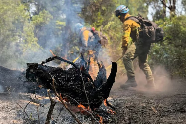 Incendios en Chubut: el viento reavivó las llamas en algunos puntos y amenaza zonas habitadas