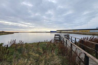 El Municipio de Río Grande se suma a proyecto que busca proteger bosques y humedales de Tierra del Fuego