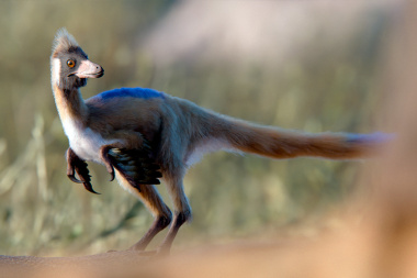 Un fósil patagónico de 95 millones de años reescribe la historia evolutiva de un enigmático grupo de dinosaurios