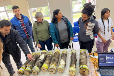 Anuncian la “IV Jornada de Hongos Comestibles en Tierra del Fuego”