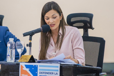 Nuevo ajuste de Nación: ‘'Quitar subsidios al gas es desconocer cómo se vive en el sur’', advirtió Zamora