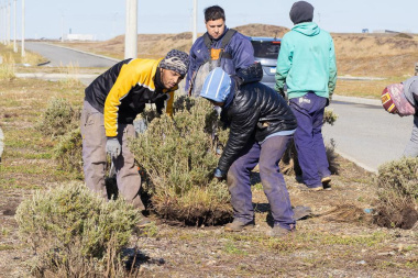 El Municipio incorpora flora nativa en distintos espacios verdes de Río Grande