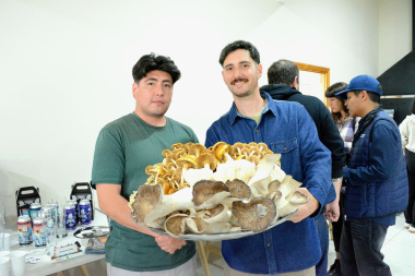 Tierra del Fuego busca sumar productos locales a su oferta turística para favorecer la producción