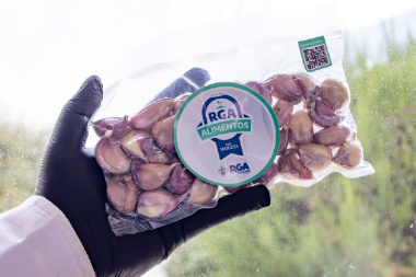 "RGA Alimentos” suma ajos violetas fueguinos y amplía su línea de producción local