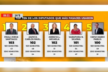 Congreso bajo la lupa: Pauli y Freites entre los que más gastaron en pasajes oficiales