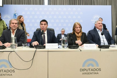 El Gobierno avanza en Diputados con la reducción de subsidios al gas por Zonas Frías