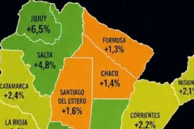 Polémica y críticas: Javier Milei y un asesor de Luis Caputo compartieron un mapa sin Tucumán ni las Malvinas