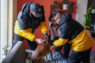 Servicios veterinarios: el Municipio refuerza la atención en los barrios de Río Grande