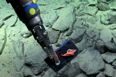 Por primera vez, un robot submarino documentó basura humana en el fondo profundo del Mar Argentino