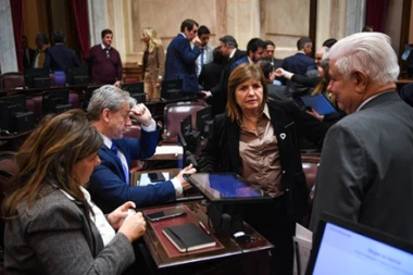 Se cayó la reforma de la ley de Tierras de Milei: qué pasó y cómo reaccionaron en el Senado