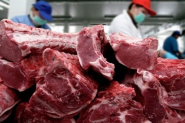 El consumo de carne vacuna cayó más de 11% en el primer semestre y tocó su menor nivel en 30 años
