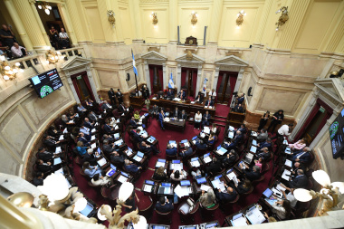 Polémica en el Senado: las dietas llegarán a los $12 millones pese al rechazo de varios bloques