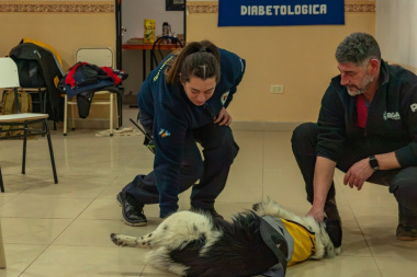 Bomberos Voluntarios de Río Grande se capacitaron en rescate y primeros auxilios para animales