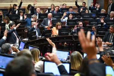 Tensión en el Senado: se le complican al oficialismo los números para aprobar la extranjerización de tierras
