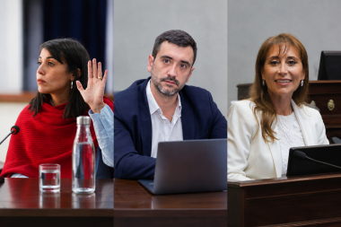 El voto fueguino en el Senado: Coto y Monte de Oca a favor, López en contra
