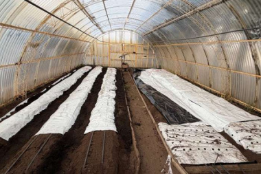 Avanza la puesta en marcha de la primera chacra agroexperimental en Río Grande