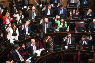 Senado: sin la oposición en el recinto, se convirtió en ley la reforma del régimen de zona fría