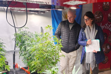 Destacan el nivel técnico y el potencial del cultivo de cannabis medicinal en Tierra del Fuego