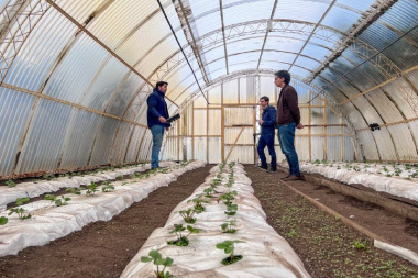 La Chacra Agroexperimental da un salto junto al Municipio para producir alimentos en Tierra del Fuego