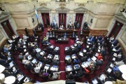 El Senado debatirá por separado la Ley Bases y el paquete fiscal y se espera una maratónica sesión
