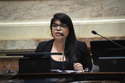 Aprobación de la ley Bases en el Senado: "Milei no va a poder tocar la 19.640", destacó Duré