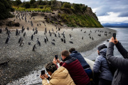 El turismo masivo a la Antártida y los riesgos en Ushuaia, según un artículo del New York Times
