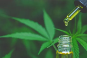 Cannabis medicinal: el Gobierno modificó los requisitos para inscribirse en el programa