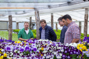 “Son un ejemplo de ingenio y trabajo”: Melella visitó emprendimiento de flores comestibles en Tolhuin