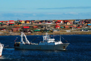 Denuncian una extracción masiva de recursos pesqueros argentinos en las Islas Malvinas