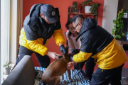 Servicios veterinarios: el Municipio refuerza la atención en los barrios de Río Grande