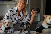 Cómo es el polémico proyecto de Karen Reichardt para regular criaderos de perros y gatos