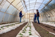 La Chacra Agroexperimental da un salto junto al Municipio para producir alimentos en Tierra del Fuego