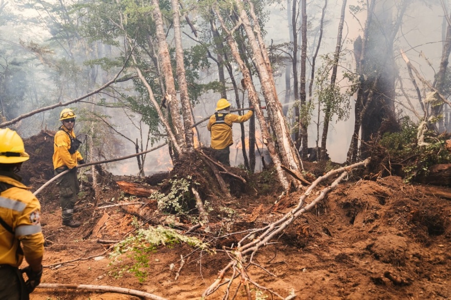 Cómo se trabaja sector por sector en el incendio forestal de la Reserva Corazón de la Isla