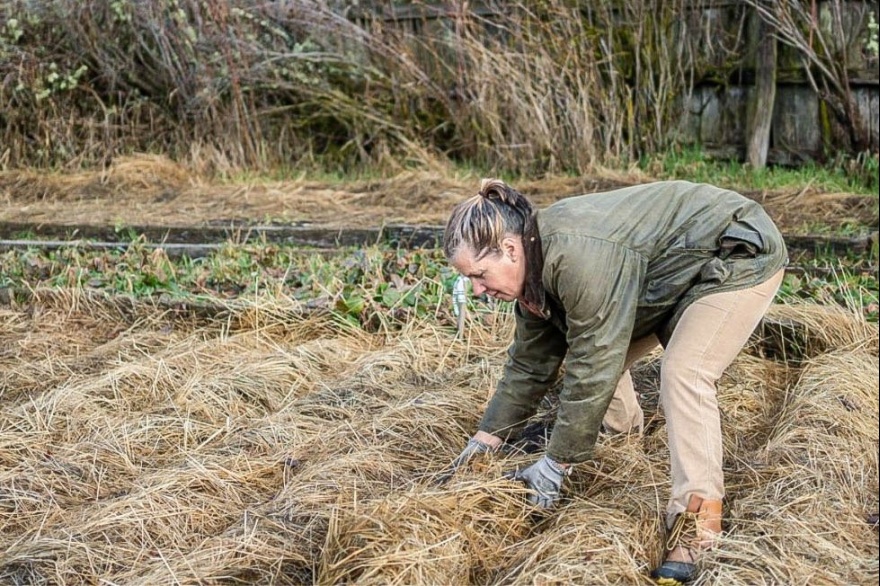 Programa de incentivo a la producción orgánica en Tierra del Fuego es finalista en concurso federal