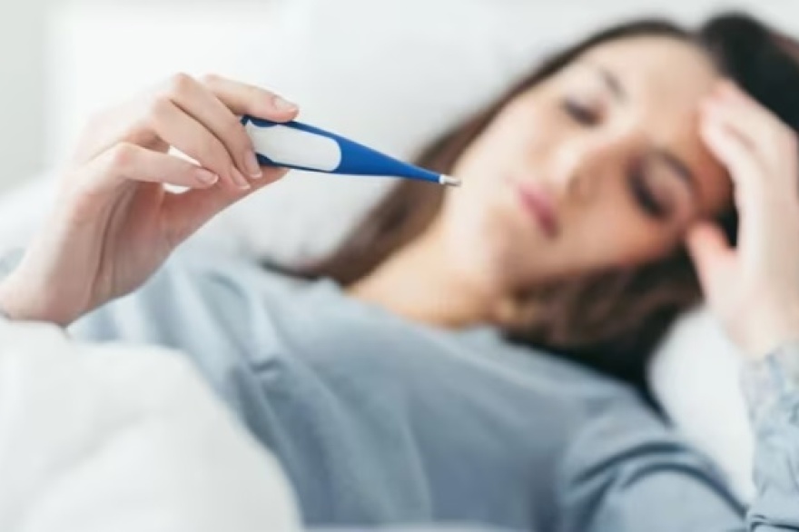 Tierra del Fuego tuvo en las últimas semanas 22 casos de dengue, todos importados