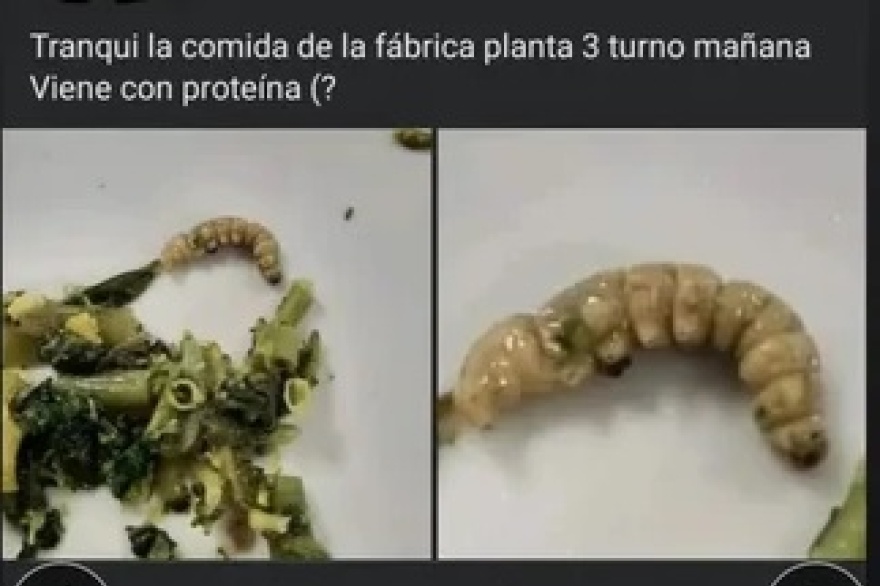 Algo huele a podrido en Newsan: les dan de comer gusanos y tuercas a los empleados