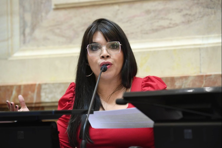 "Este avance sobre el trabajo de miles de fueguinos pone en peligro el futuro de nuestra provincia"