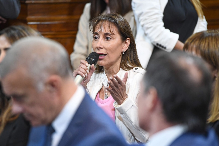 "Vamos a ser muy firmes en el Senado para rechazar este ataque contra la industria fueguina"