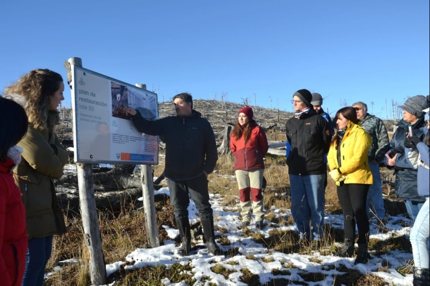Gobierno inició nueva temporada de restauración de bosque nativo en cercanías a Tolhuin