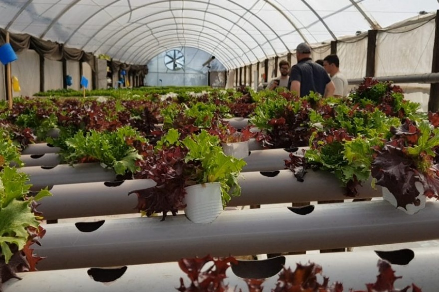 La UNTDF puso en marcha un ciclo de encuentros sobre agroecología en Tierra del Fuego