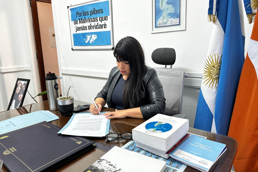 “Milei tiene la obligación de dar explicaciones al Senado”, reclamó Duré
