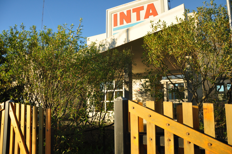 INTA Tierra del Fuego: compromiso y resiliencia en tiempos de desafíos